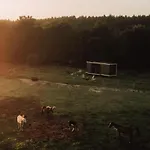 Lodge Marottin - Parcel Tiny House - Tiny House Au Coeur De La Normandie Entourée Par Les Chevaux Mae-9041