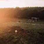 Lodge Marottin - Parcel Tiny House - Tiny House Au Coeur De La Normandie Entourée Par Les Chevaux Mae-9041 Saint-Nicolas-de-Bliquetuit