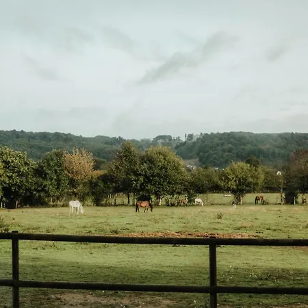Lodge Marottin - Parcel Tiny House - Tiny House Au Coeur De La Normandie Entouree Par Les Chevaux Mae-9041