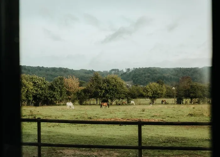 Lodge Marottin - Parcel Tiny House - Tiny House Au Coeur De La Normandie Entouree Par Les Chevaux Mae-9041