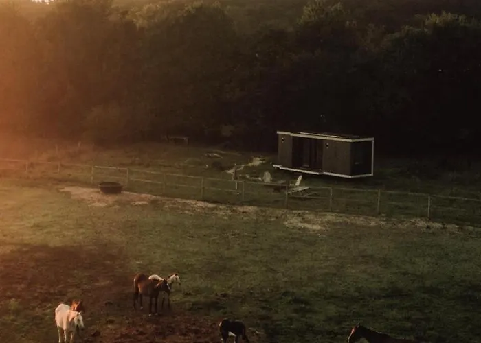 Lodge Marottin - Parcel Tiny House - Tiny House Au Coeur De La Normandie Entouree Par Les Chevaux Mae-9041