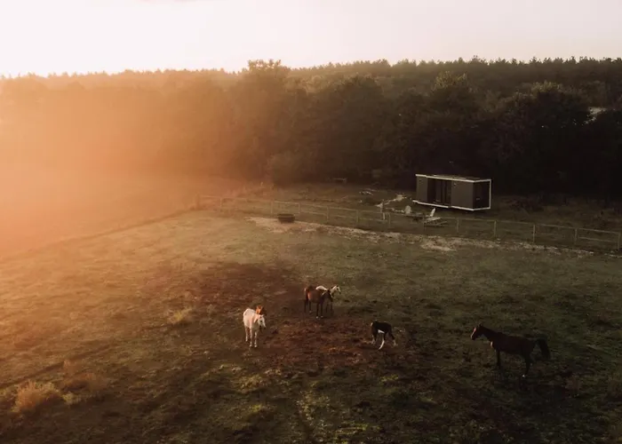 Lodge Marottin - Parcel Tiny House - Tiny House Au Coeur De La Normandie Entouree Par Les Chevaux Mae-9041 Saint-Nicolas-de-Bliquetuit